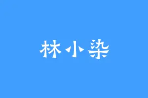 林小染