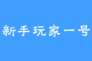 新手玩家一号