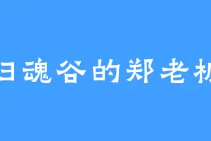 归魂谷的郑老板