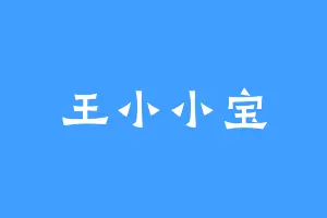王小小宝