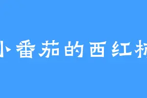 小番茄的西红柿