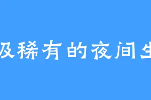 超级稀有的夜间生物