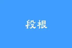 段根