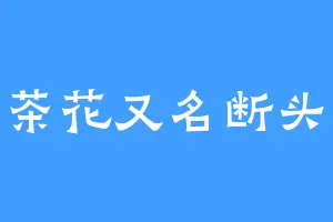 山茶花又名断头花