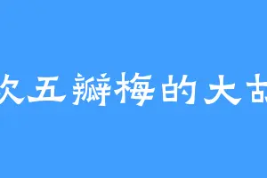喜欢五瓣梅的大胡子