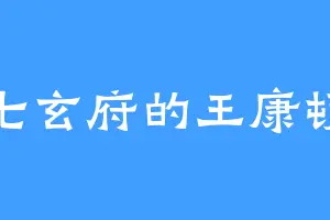 七玄府的王康顿