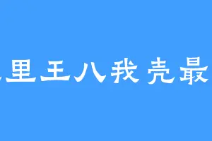 池里王八我壳最绿