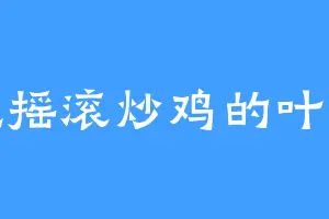 爱吃摇滚炒鸡的叶辰语