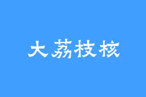 大荔枝核