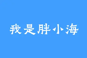 我是胖小海