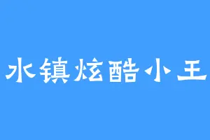 车水镇炫酷小王子