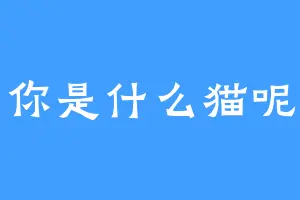 你是什么猫呢