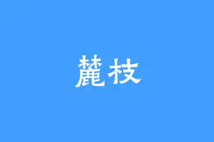 麓枝