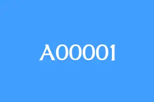 A00001
