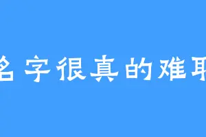 名字很真的难取