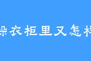 躲衣柜里又怎样