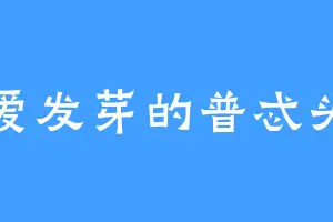 爱发芽的普忒头