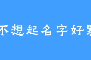 不想起名字好累