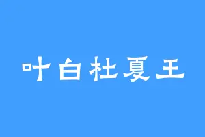 叶白杜夏王