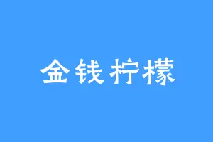 金钱柠檬