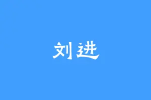 刘进