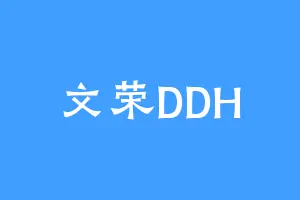 文荣DDH