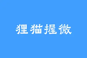 狸猫握微