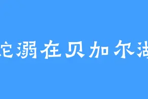 蛇溺在贝加尔湖