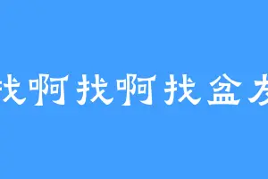 找啊找啊找盆友