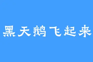 黑天鹅飞起来