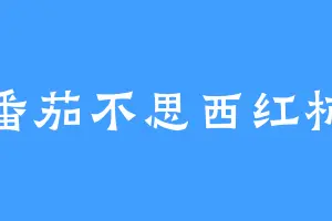 番茄不思西红柿