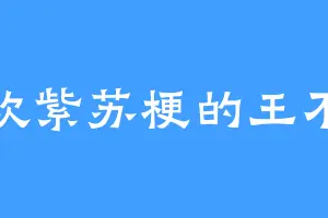 喜欢紫苏梗的王不信