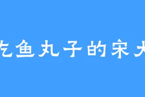 爱吃鱼丸子的宋大姐