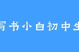 写书小白初中生