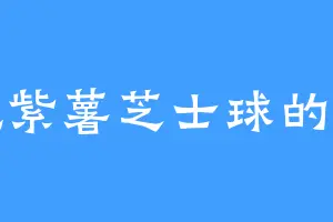 爱吃紫薯芝士球的山神