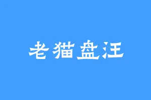 老猫盘汪