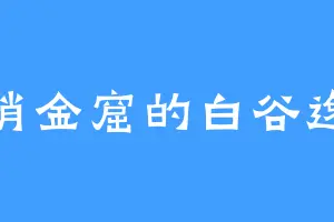 销金窟的白谷逸