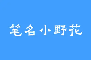 笔名小野花