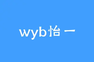 wyb怡一
