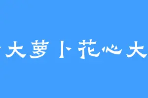 一个大萝卜花心大萝卜
