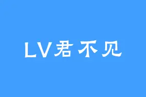 LV君不见