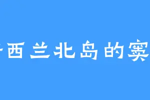 新西兰北岛的窦明