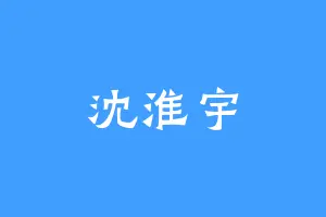 沈淮宇