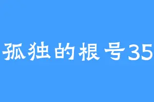 孤独的根号35