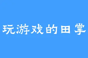 爱玩游戏的田掌柜