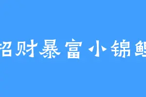 招财暴富小锦鲤