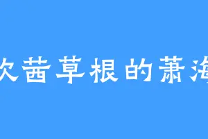 喜欢茜草根的萧海斌