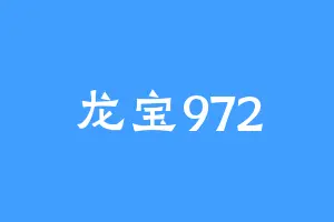 龙宝972