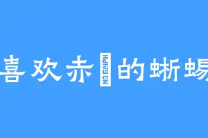 喜欢赤瓟的蜥蜴