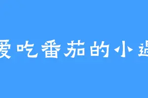 爱吃番茄的小遇